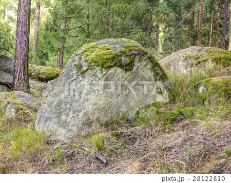 Boulder in forest Boulder in forest 28122810