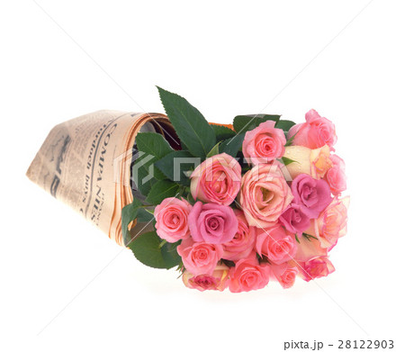 きれい 美しい 綺麗 28122903