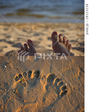 sandy feet on the beach 28123238