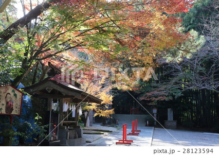 六殿神社 六殿神社 28123594
