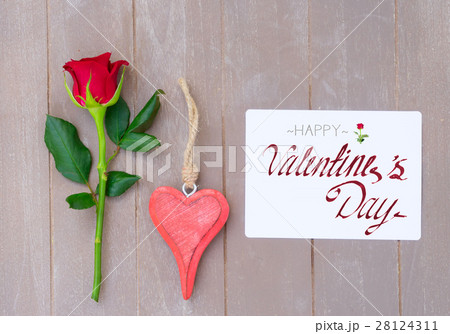 Red rose still life 28124311