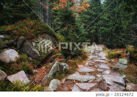 Stone Trail in Karkonosze Mountains Stone Trail in Karkonosze Mountains 28124672