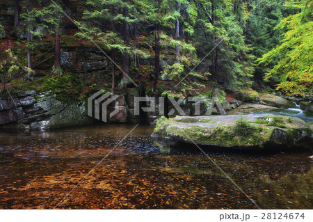 Stream in Karkonosze Mountains Stream in Karkonosze Mountains 28124674