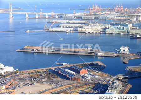 赤レンガ倉庫と大桟橋 28125559