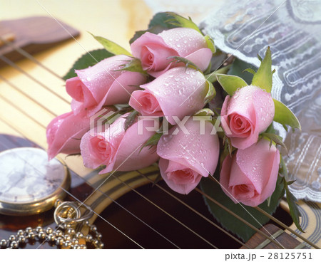 きれい 美しい 綺麗 28125751