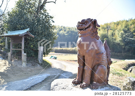 安仁神社の狛犬阿形 岡山県岡山市東区 安仁神社の狛犬阿形 岡山県岡山市東区 28125773