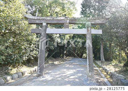 安仁神社 一の鳥居と参道 岡山県岡山市東区 安仁神社 一の鳥居と参道 岡山県岡山市東区 28125775