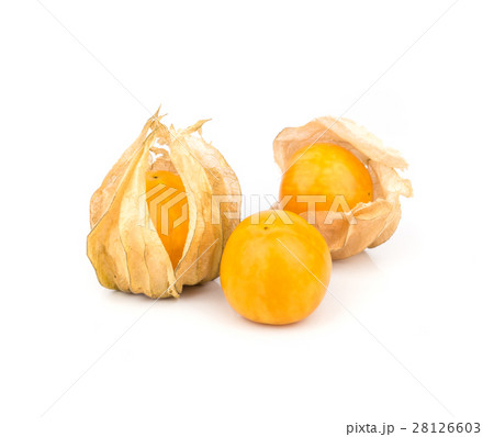 Cape Gooseberry. 28126603