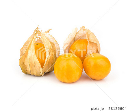 Cape Gooseberry. 28126604