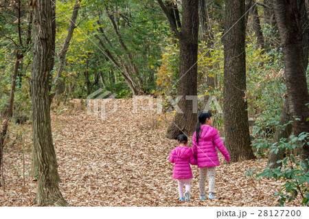 冬の公園で散歩している子供姉妹 冬の公園で散歩している子供姉妹 28127200