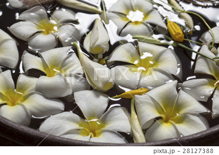 水に浮かぶ花 水に浮かぶ花 28127388