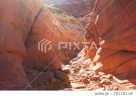 Slot canyon Slot canyon 28128118