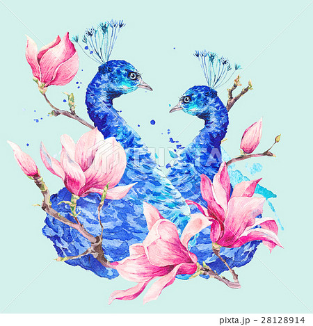 Watercolor Peacock with Flowers Magnolia Watercolor Peacock with Flowers Magnolia 28128914