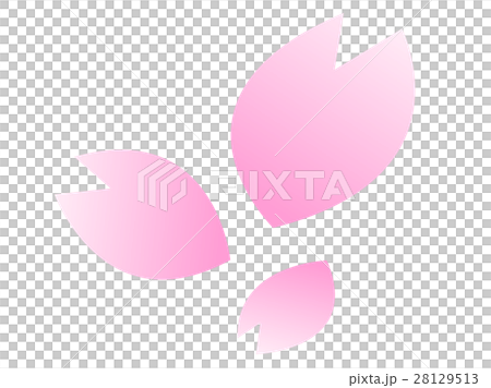 桜の花びら 28129513