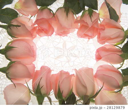 きれい 美しい 綺麗 28129879