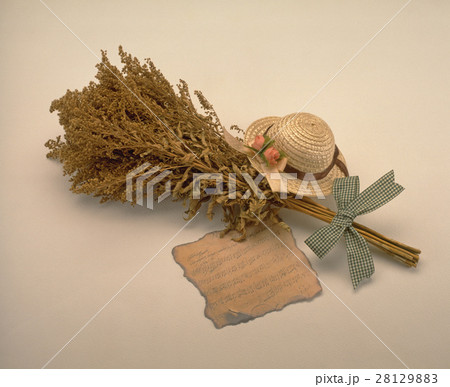 きれい 美しい 綺麗 28129883