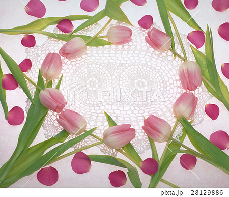 きれい 美しい 綺麗 28129886