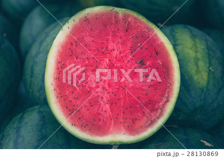 森の中の集落 28130869