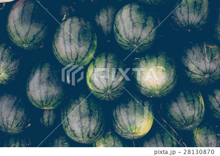 森の中の集落 28130870