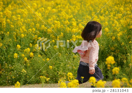菜花畑を駆ける少女 28131043