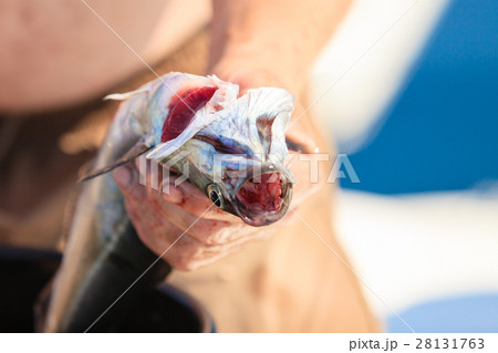 saltwater fishing - man cleaning fish outdoor 28131763
