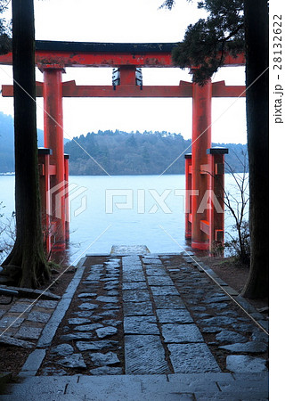 箱根神社 鳥居（平和の鳥居） 28132622