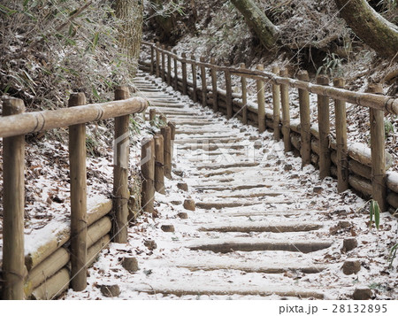 金剛山 千早本道 金剛山 千早本道 28132895