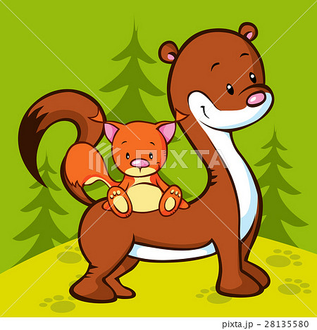 weasel and squirrel in the wood weasel and squirrel in the wood 28135580