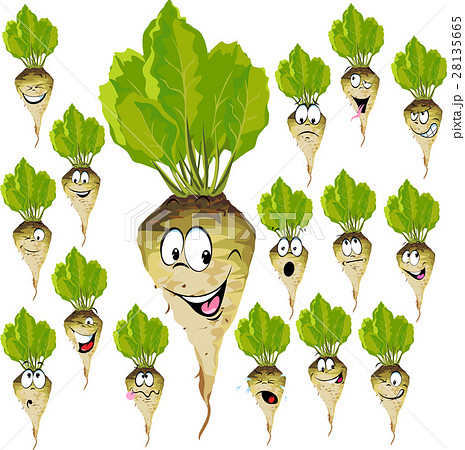 sugar beet cartoon with many expressions sugar beet cartoon with many expressions 28135665