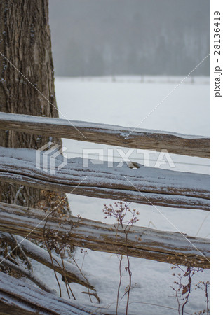 Rustic cedar rail fence with snow dusting 28136419