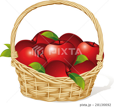 Red Apples In A Basket Isolated On White のイラスト素材