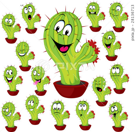cactus plant vector illustration with many facial cactus plant vector illustration with many facial 28136713