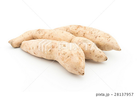ダイジョ(パープルヤム): Purple yam ダイジョ(パープルヤム): Purple yam 28137957