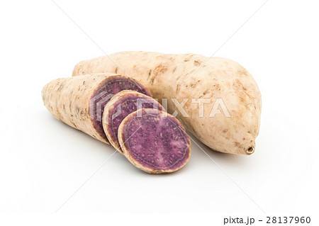 ダイジョ(パープルヤム): Purple yam ダイジョ(パープルヤム): Purple yam 28137960