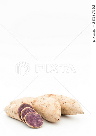 ダイジョ(パープルヤム): Purple yam ダイジョ(パープルヤム): Purple yam 28137962