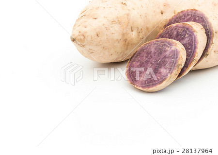 ダイジョ(パープルヤム): Purple yam ダイジョ(パープルヤム): Purple yam 28137964