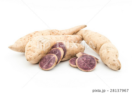 ダイジョ（パープルヤム）: Purple yam 28137967
