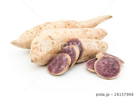 ダイジョ(パープルヤム): Purple yam ダイジョ(パープルヤム): Purple yam 28137968