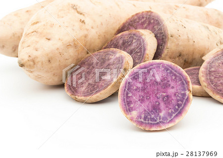 ダイジョ(パープルヤム): Purple yam ダイジョ(パープルヤム): Purple yam 28137969