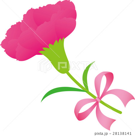 ピンクカーネーション一輪 ピンクりぼん ピンクカーネーション一輪 ピンクりぼん 28138141
