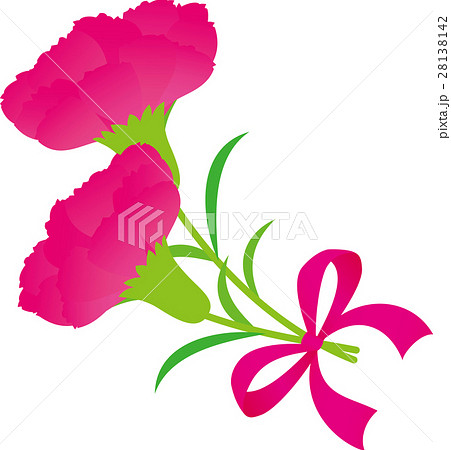 ピンクカーネーション二輪　ピンクりぼん 28138142