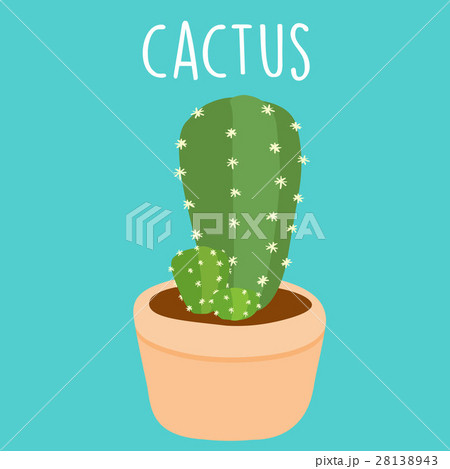 cute green cactus in a pot vector 28138943
