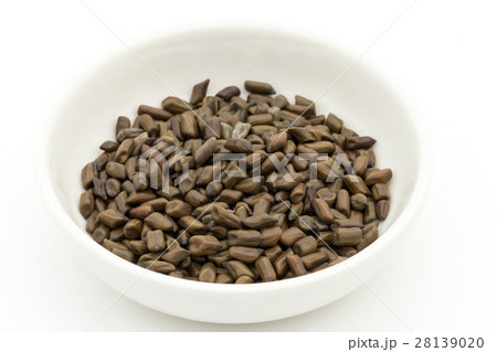 決明子(ケツメイシ): Seeds of Senna obtusifolia 決明子(ケツメイシ): Seeds of Senna obtusifolia 28139020