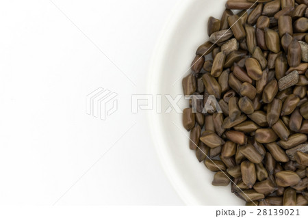 決明子（ケツメイシ）: Seeds of Senna obtusifolia 28139021