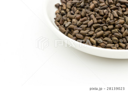 決明子（ケツメイシ）: Seeds of Senna obtusifolia 28139023
