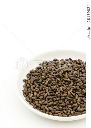 決明子（ケツメイシ）: Seeds of Senna obtusifolia 28139024