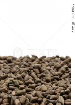 決明子（ケツメイシ）: Seeds of Senna obtusifolia 28139027