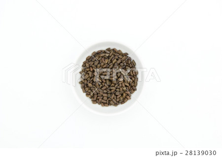 決明子(ケツメイシ): Seeds of Senna obtusifolia 決明子(ケツメイシ): Seeds of Senna obtusifolia 28139030