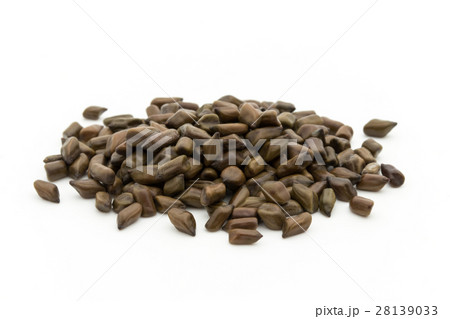 決明子（ケツメイシ）: Seeds of Senna obtusifolia 28139033