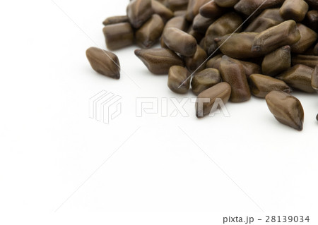 決明子（ケツメイシ）: Seeds of Senna obtusifolia 28139034